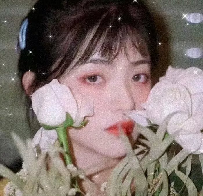 扭曲的家